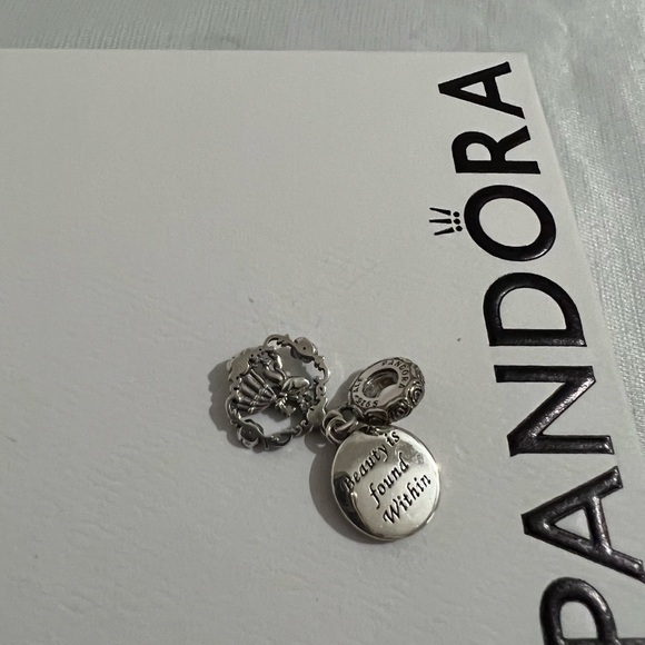 Pandora Charms - Picture 5 of 9